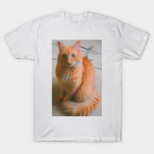 Ginger cat posing on camera T-Shirt